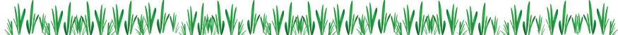 De Leon Gardening Service Installs & Maintains lawns